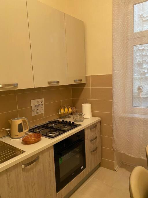 Apartman Elli Záhřeb Exteriér fotografie